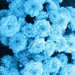 Meet your Posher, Payal